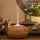 Aromatherapy sound diffuser wood aroma Oil humidifier