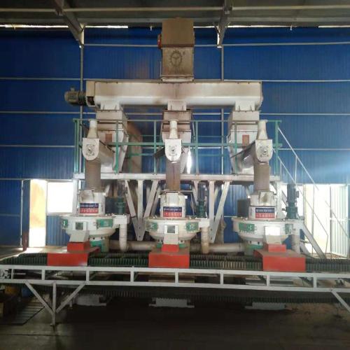 Rice Stalk Pellet Making Machine Agriculture Residues Biomass Straw Pellet Production Line Factory