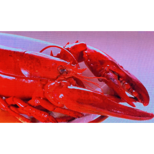 İç Mekan Tam Renkli LED Şeffaf Ekran