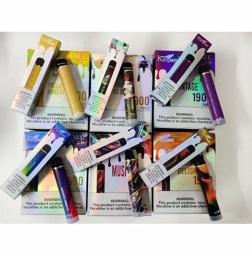 Disposable E Shisha Stick Fruit Flavors Disposable E-cig