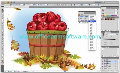 Adobe Illustrator CS4