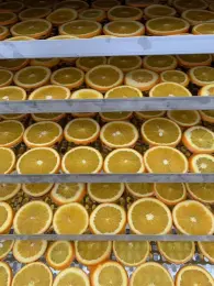 Dry fruits Heat pump air drying