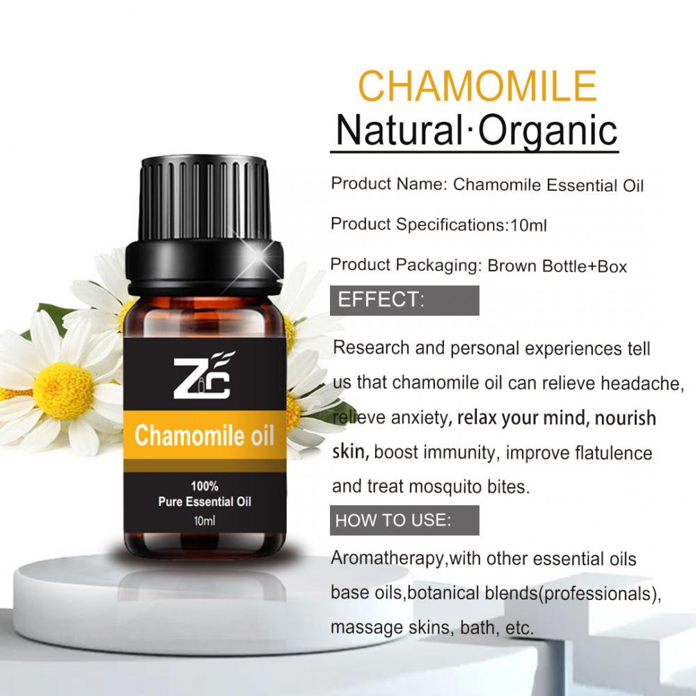 Best Price Bulk Roman Chamomile Oil 100% Pure Skin Care