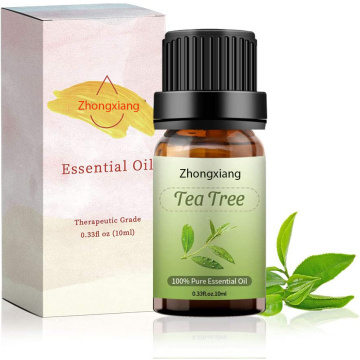 Planta de alto grado terapéutico Precios del aceite esencial 100% puro natural Productores aceite de árbol de té