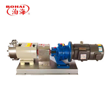 Rotary Lobe Pump Parts: Rotor, Stator, and Cam Components for Water Pumps