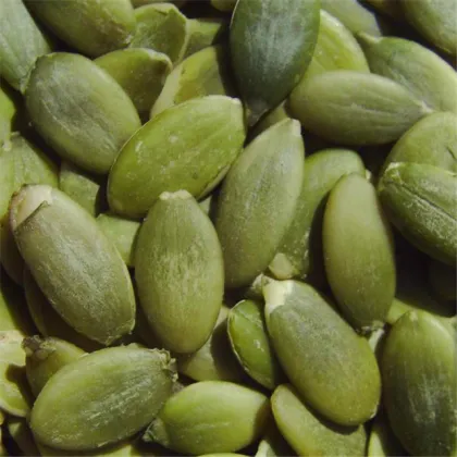 Organic Natural Dried Bulk Pumpkin Seeds