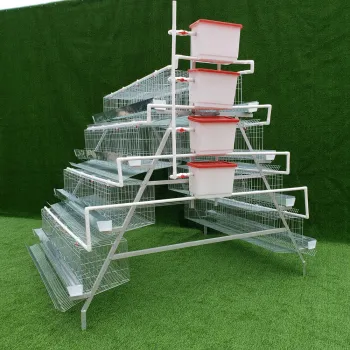 Galvanized Automatic Chicken Cages for Layer Poultry Farming Equipment