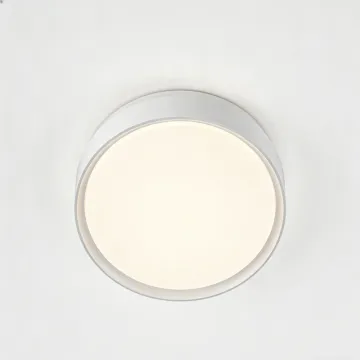 Frosted cover ceiling light LED