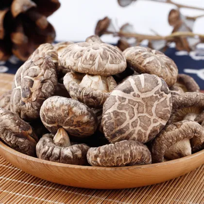 Black Edibble fungus flower mushroom