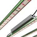 LED plant grow light 1000Watt full spectrum