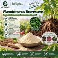 مسحوق بروبيوتيك Pseudomonas Fluorescens للتطبيقات الزراعية
