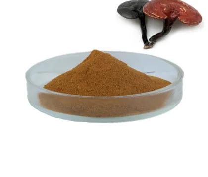 Persimmon Powder Persimmon Extract Powder Persimmon