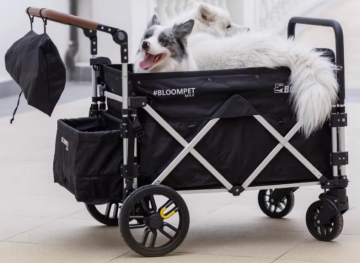 Oversized Foldable Pet Stroller for Large Pets