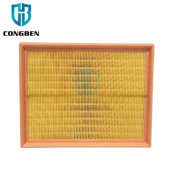 China Manufacture Auto Parts - Air Filter 06C133843 for Audi A4 B5 B6 B7