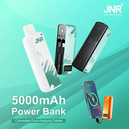 JNR Power Mate Wholesale Power Mate 30000 Puffs