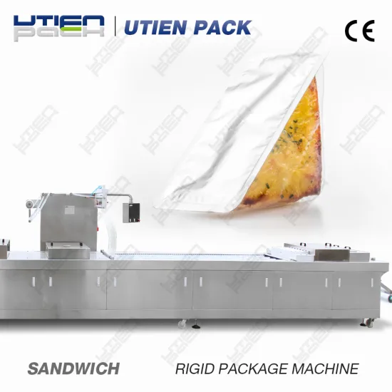 Alibaba China DZL320Y vacum packing machine