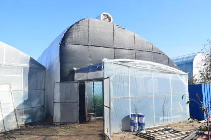 Greenhouse And Nursery