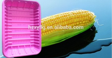 biodegradable food trays T215-150