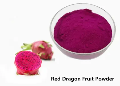 Natural White Dragon Fruit Powder White Pitaya Fruit