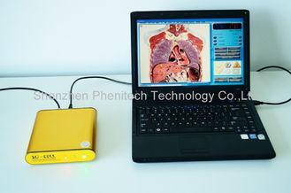 OEM Golden Computer System 3D NLS Sub Health Analyzer For B