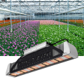 Luz de cultivo LED para horticultura para plantas medicinales