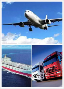 Professional Sea Freight Shipping Logistics From China to Yosu