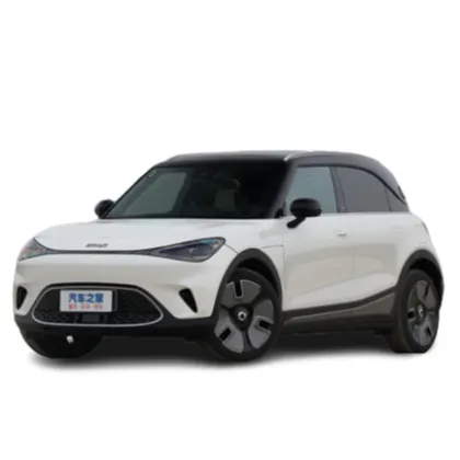2022 New Smart Mini Electric Car - GEELY smart Car EV