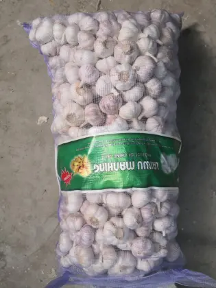 FRESH PURE WHITE GARLIC