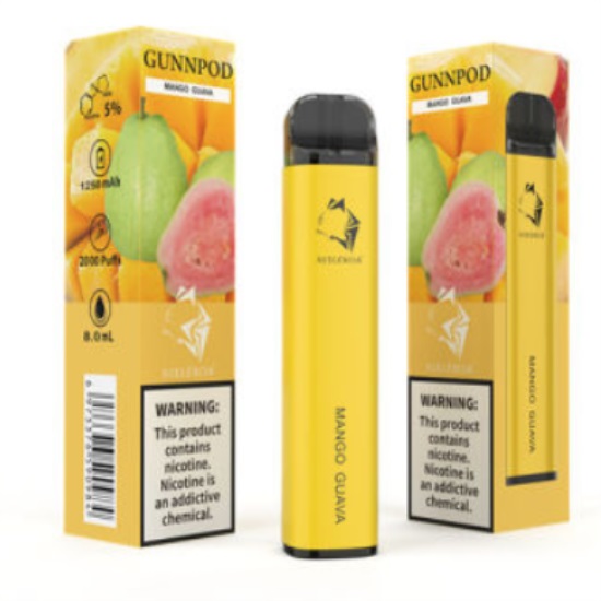 Gunnpod 2000 Puffs desechables