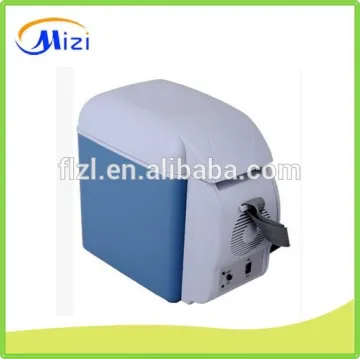 110V - 240V electric car cooler box 12v