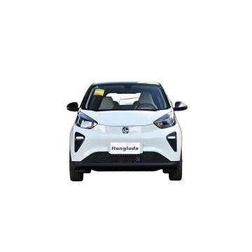 2024 Chery kleiner Ant Mini 4 -Sitzer Elektrofahrzeug