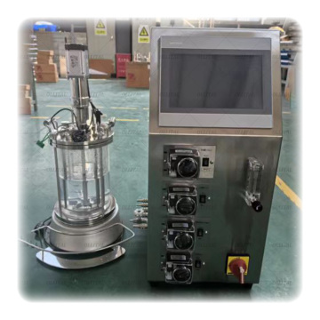 Mini Lab Glass Bioreactor for Plant Cell Culture
