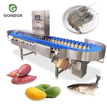 Automatisk skaldjur och fruktstorlekssorteringsmaskin för kyckling, räkor, ostron och mango