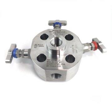 Stainless Steel Double Block and Bleed Valves - Monoflange Valve Class 150 to Class 2500 Flange
