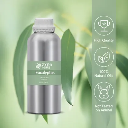 Pure Eucalyptus Hydrosol Water OEM Skin Care Solution Liquid Floral Water Raw Wholesale Price