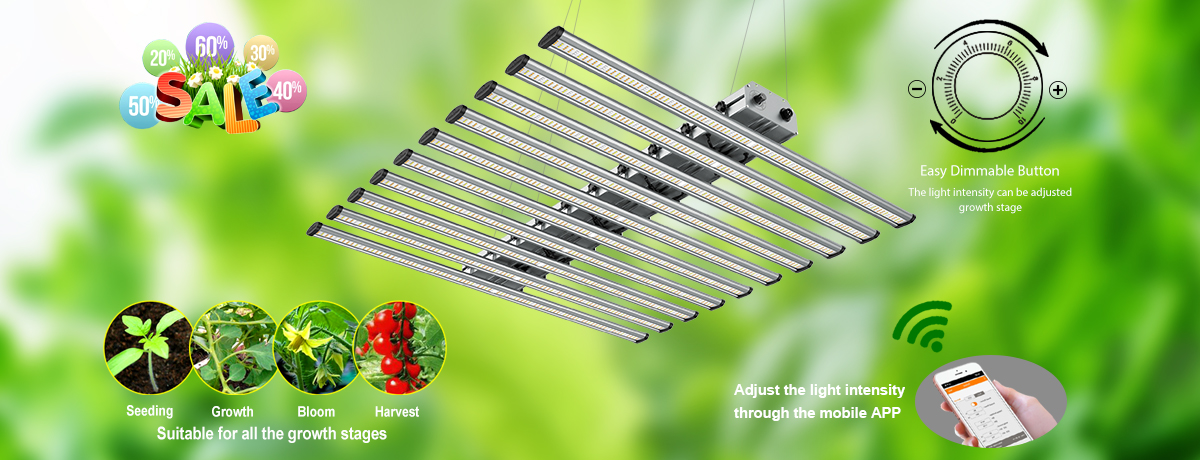 Phlizon Grow Lights Phlizon Grow Lights