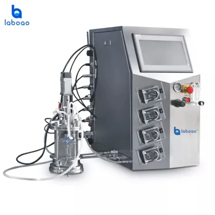 Semi-automatic Bioreactor Price - Customized Fermenter Mini Bioreactor for Laboratory