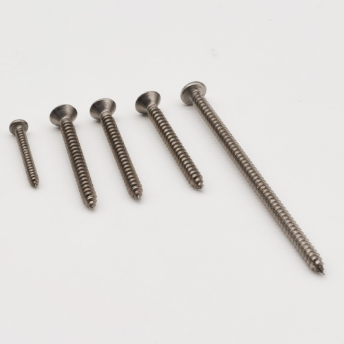 Wood Screw Assortment Stainless Steel