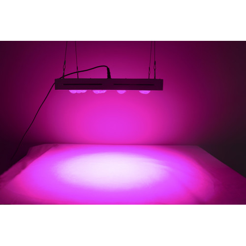 Best cob grow lights 1800w 2020