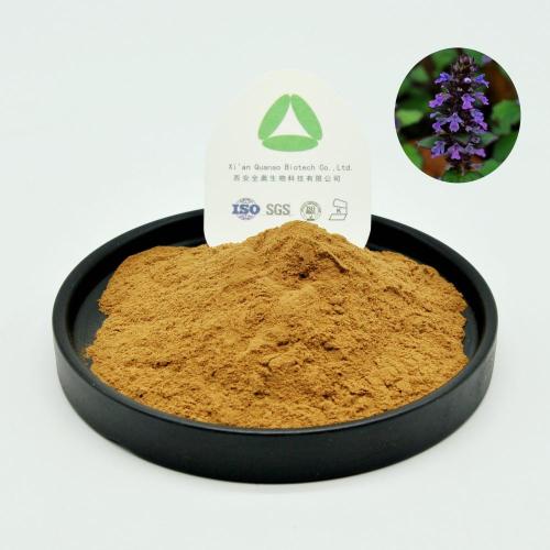 Ajuga turkestanica tự nhiên chiết xuất Turkesterone 2% bột