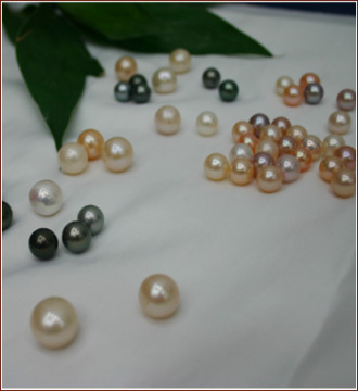 Chinese  pearl