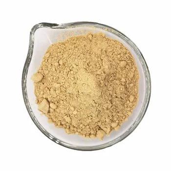 Ginger Powder 60 Mesh for Tea Drink