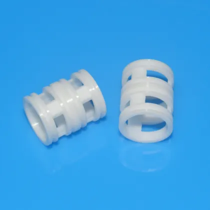 Zirconia Ceramic Seal Ring for Sealing Technology