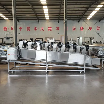 Plantain Chips Processing Machine: Banana Chips Production Line and Plantain Frying Machine