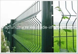 Verzinkter und PVC beschichtetes Drahtgitterzaun