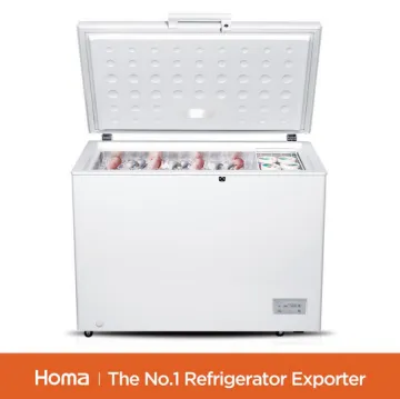 BE1-316 household White chest freezer-2