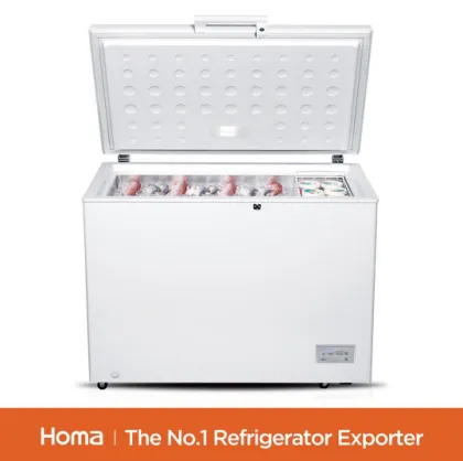 BE1-316 household White chest freezer-2