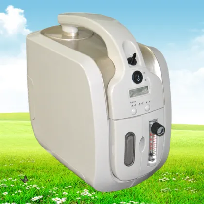 Portable oxygen-concentrator oxygen generator for home