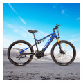 Suspensionable Mountain Electric Bike