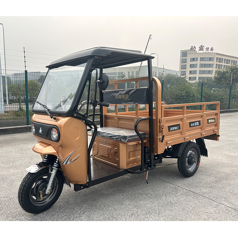 Golden Electric Tricycle Motorcycle Design